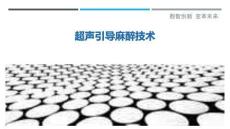 超聲引導(dǎo)麻醉技術(shù)
