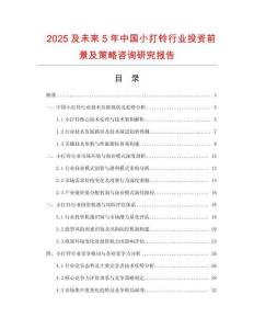 2025及未來5年中國小打鈴行業(yè)投資前景及策略咨詢研究報告