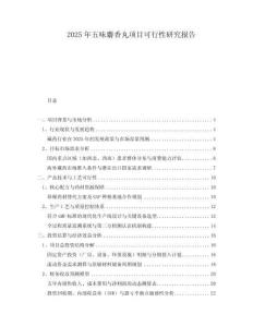 2025年五味麝香丸項目可行性研究報告