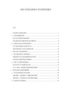 2025年均壓球項目可行性研究報告