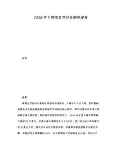 2025年T柄項目可行性研究報告