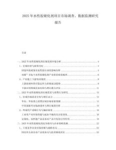 2025年水性膠硬化劑項(xiàng)目市場調(diào)查、數(shù)據(jù)監(jiān)測研究報(bào)告