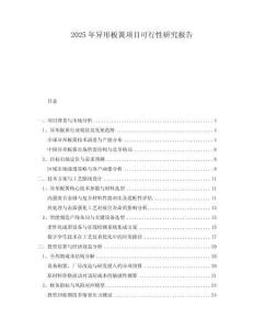 2025年異形板簧項(xiàng)目可行性研究報(bào)告