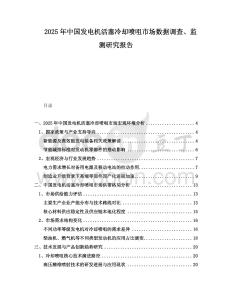 2025年中國發電機活塞冷卻噴咀市場數據調查、監測研究報告