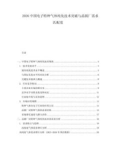 2026中國電子特種氣體純化技術突破與晶圓廠需求匹配度