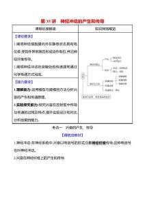 第七單元第35講神經(jīng)沖動的產(chǎn)生和傳導