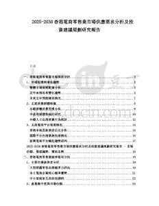 2025-2030香港電商零售業市場供應需求分析及投資建議規劃研究報告