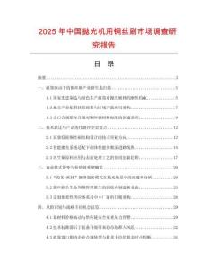 2025年中國(guó)拋光機(jī)用銅絲刷市場(chǎng)調(diào)查研究報(bào)告