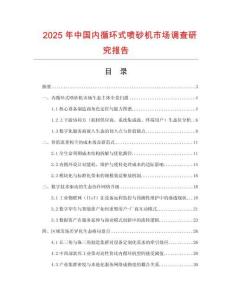 2025年中國內循環式噴砂機市場調查研究報告