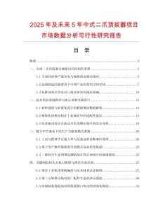 2025年及未來5年中式二爪頂拔器項目市場數據分析可行性研究報告