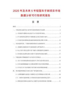 2025年及未來5年輕型車手剎項目市場數(shù)據(jù)分析可行性研究報告