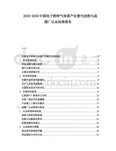 2025-2030中國電子特種氣體國產化替代進程與晶圓廠認證標準報告