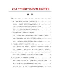 2025年中国数字流速计数据监测报告