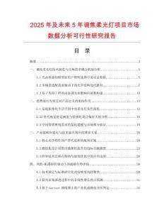 2025年及未來5年調(diào)焦柔光燈項目市場數(shù)據(jù)分析可行性研究報告
