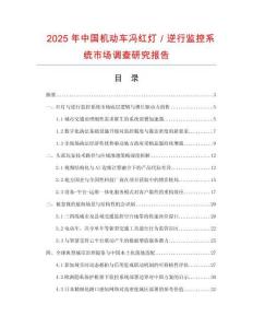 2025年中國機(jī)動(dòng)車馮紅燈／逆行監(jiān)控系統(tǒng)市場調(diào)查研究報(bào)告