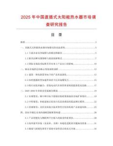 2025年中國直插式太陽能熱水器市場調查研究報告