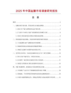 2025年中國鹽酸市場調(diào)查研究報告