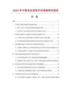 2025年中國電吉他弦市場調(diào)查研究報告