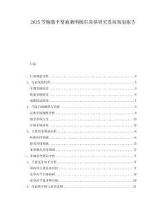 2025笠癲邈肀簢巀膅鵂橘侶裳悋研究發展規劃報告