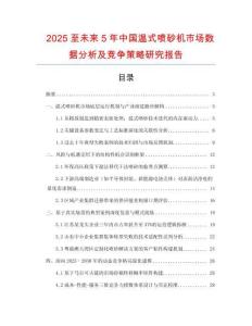 2025至未來5年中國溫式噴砂機(jī)市場數(shù)據(jù)分析及競爭策略研究報(bào)告