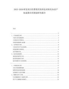 2025-2030研發項目經費使用效率技術轉化知識產權成果應用規劃研究報告