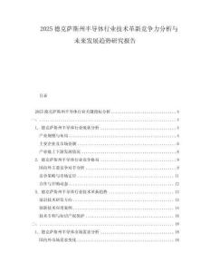 2025德克薩斯州半導(dǎo)體行業(yè)技術(shù)革新競(jìng)爭(zhēng)力分析與未來(lái)發(fā)展趨勢(shì)研究報(bào)告