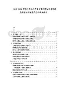 2025-2030雪龍?zhí)枠O地科考量子雷達(dá)研發(fā)行業(yè)市場供需極地環(huán)境潛力分析研究報告