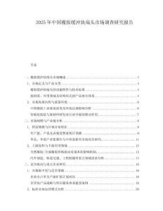 2025年中國橡膠緩沖塊端頭市場調查研究報告