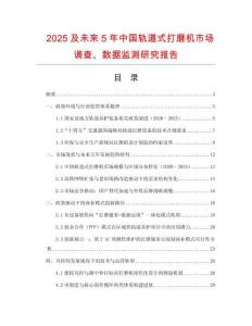 2025及未來(lái)5年中國(guó)軌道式打磨機(jī)市場(chǎng)調(diào)查、數(shù)據(jù)監(jiān)測(cè)研究報(bào)告