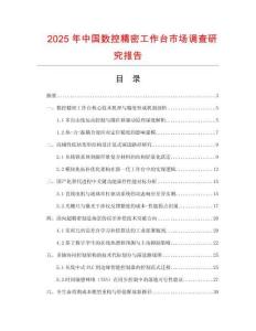 2025年中國數(shù)控精密工作臺(tái)市場(chǎng)調(diào)查研究報(bào)告