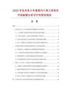 2025年及未來5年星型內六角工具項目市場數據分析可行性研究報告