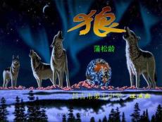 七年級(jí)初一語文上冊(cè)人教版部編版-狼課件-名師教學(xué)課件PPT-(1)