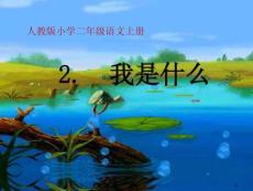 04.《我是什么》pptPPT課件