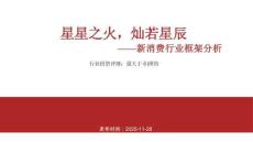 新消费行业框架分析：星星之火，灿若星辰-