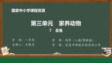 7.金魚_課件