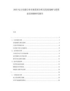 2025電力光能行業(yè)市場發(fā)展分析及發(fā)展戰(zhàn)略與投資前景預測研究報告