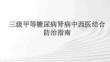 三級(jí)甲等糖尿病腎病中西醫(yī)結(jié)合防治指南