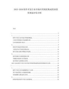 2025-2030軟件開發行業市場應用現狀集成需求投資規劃評估分析