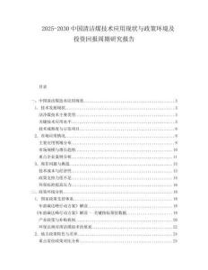 2025-2030中國清潔煤技術應用現狀與政策環境及投資回報周期研究報告