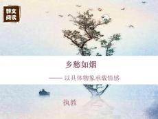 初中語(yǔ)文群文閱讀《鄉(xiāng)愁如煙》課件