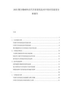 2025聚合物材料在汽車輕量化技術(shù)中的應(yīng)用前景分析報(bào)告