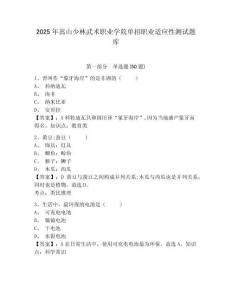 2025年嵩山少林武術職業(yè)學院單招職業(yè)適應性測試題庫附答案詳解【奪分金卷】