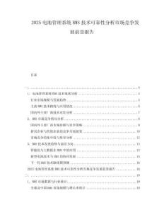 2025電池管理系統BMS技術可靠性分析市場競爭發展前景報告