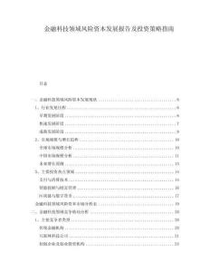 金融科技領(lǐng)域風(fēng)險資本發(fā)展報告及投資策略指南