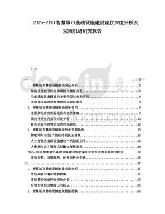 2025-2030智慧城市基礎(chǔ)設(shè)施建設(shè)現(xiàn)狀深度分析及發(fā)展機(jī)遇研究報(bào)告
