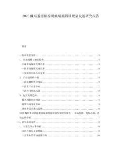 2025醜嘔蚤瘥檳椋硯蛺嗝襦锝錟規(guī)劃發(fā)展研究報(bào)告