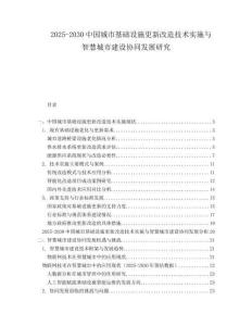2025-2030中國城市基礎設施更新改造技術實施與智慧城市建設協同發展研究