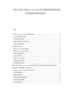 2025-2030中國plutonium行業市場供需分析及投資評估規劃分析研究報告