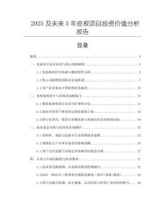 2025及未來5年皮衩項目投資價值分析報告