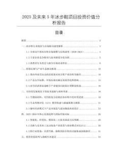 2025及未來(lái)5年冰步鞋項(xiàng)目投資價(jià)值分析報(bào)告